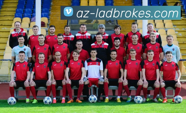 立博体育Ladbrokes外围平台平台生态图